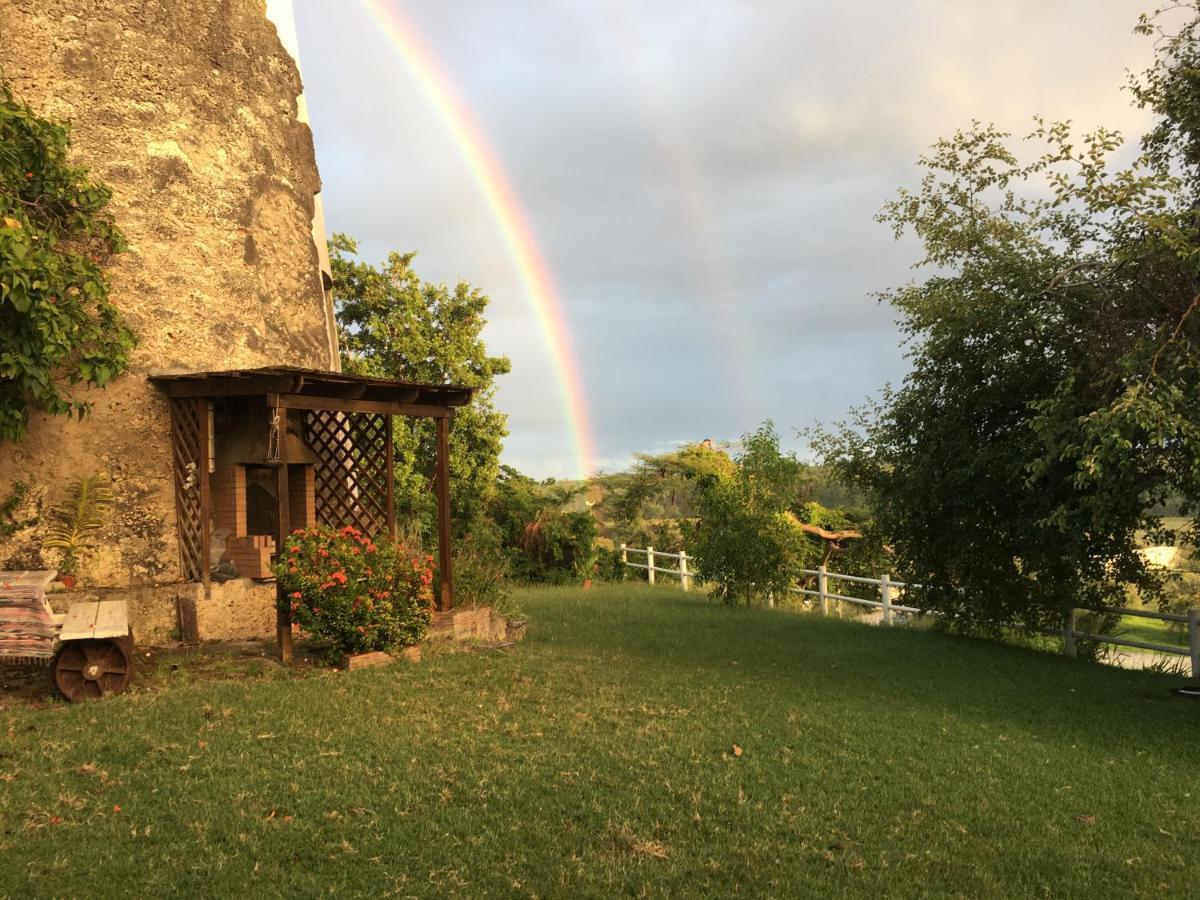 Villa Du Moulin De Saint Felix Le Gosier  Kültér fotó